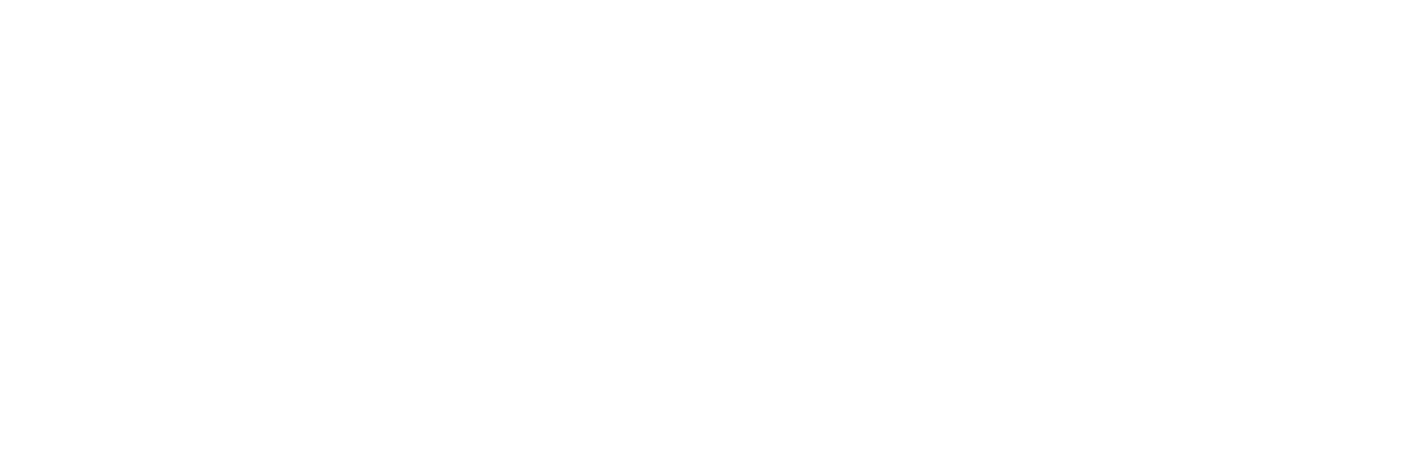 Chasing Logo